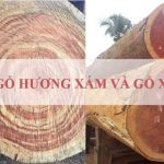 So Sánh Gỗ Hương Xám Và Gỗ Xoan đào